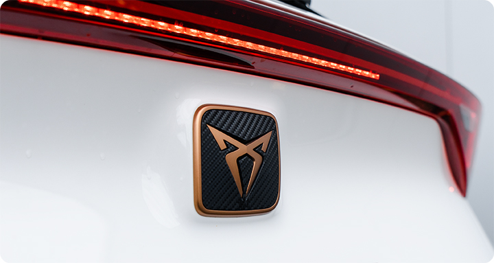Cupra Heck